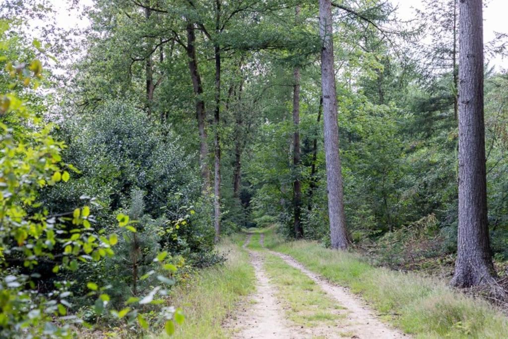 Leva - Logeren In Drenthe Villa Doldersum Екстериор снимка