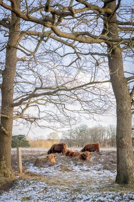 Leva - Logeren In Drenthe Villa Doldersum Екстериор снимка