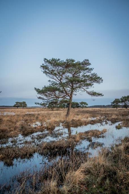 Leva - Logeren In Drenthe Villa Doldersum Екстериор снимка