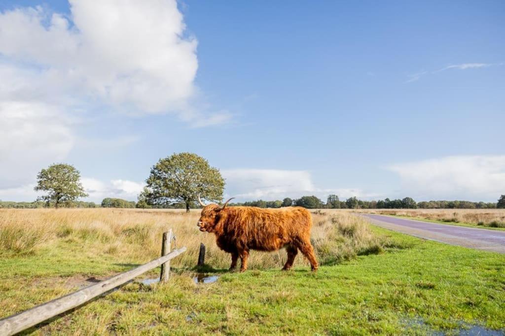 Leva - Logeren In Drenthe Villa Doldersum Екстериор снимка